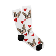Pet Cute Photo Socks